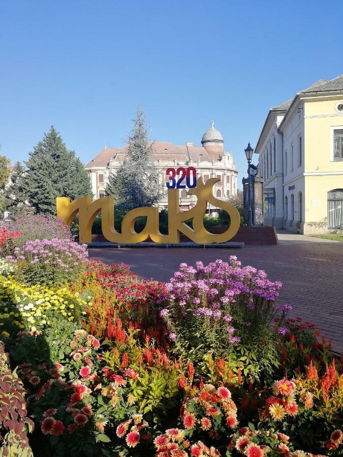 Csipke Apartman Makó Zewnętrze zdjęcie